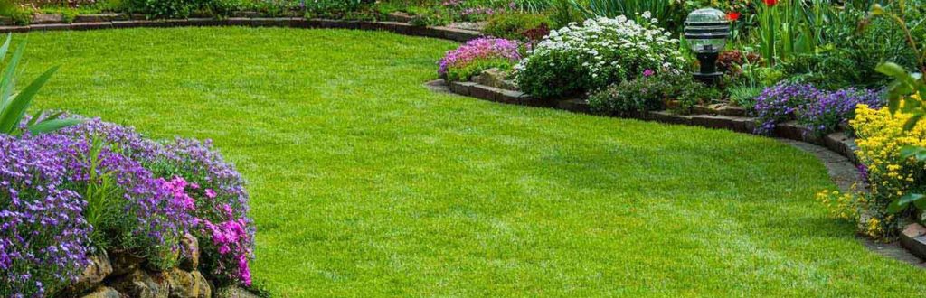 pelouse verte jardin
